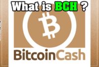 What is Bitcoin Cash (BCH) Cryptocurrency ? [Everything U Need to Know] blockchain, blockchains, cryptocurrencies, decentralized,