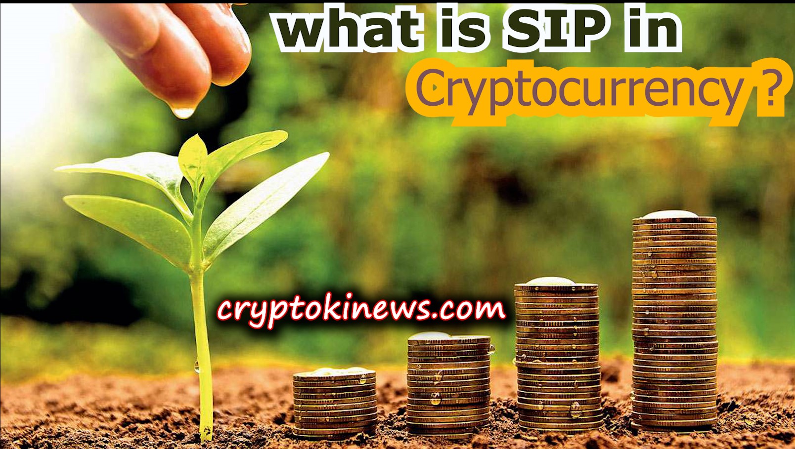 what is SIP in Cryptocurrency? – cryptokinews.com