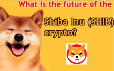 What is the future of the Shiba Inu (SHIB) crypto? – CryptoKiNews