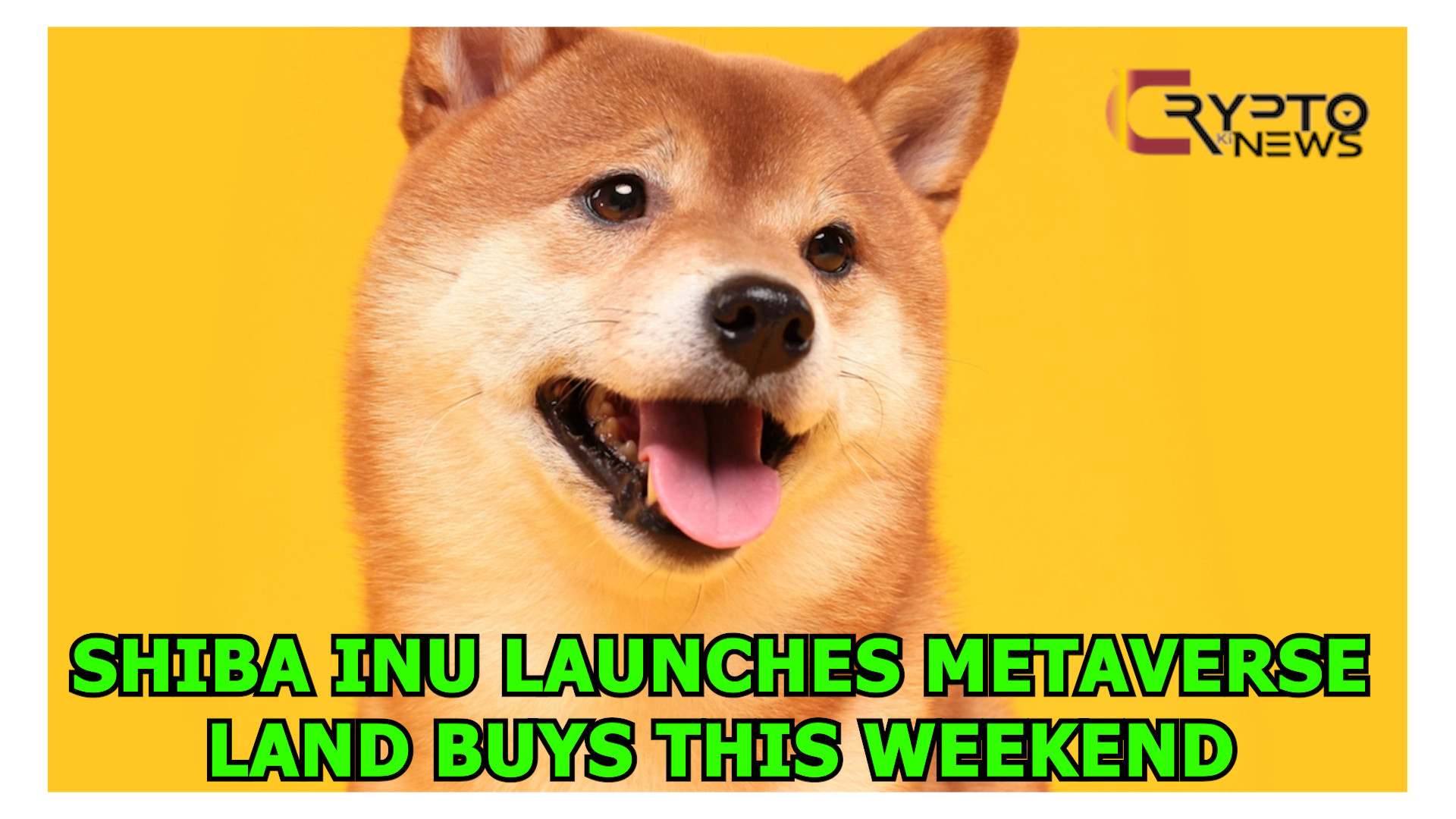 Shiba Inu Launches Metaverse Land Buys This Weekend – cryptokinews.com