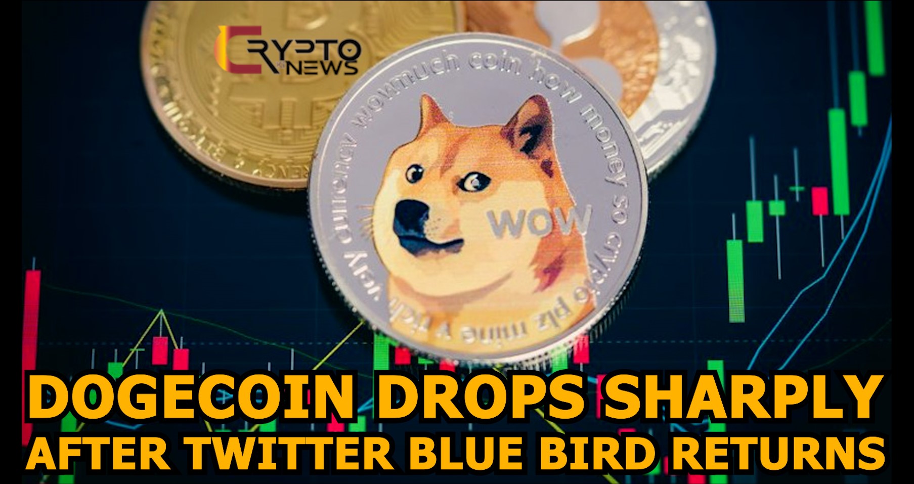 Dogecoin Drops Sharply After Twitter Blue Bird Returns – cryptokinews.com